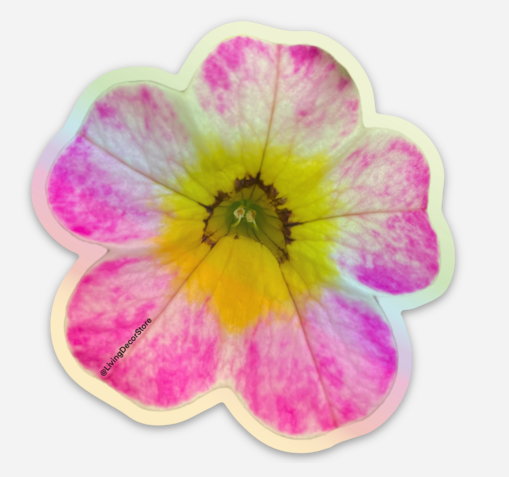 Pink Petunia Holographic Sticker